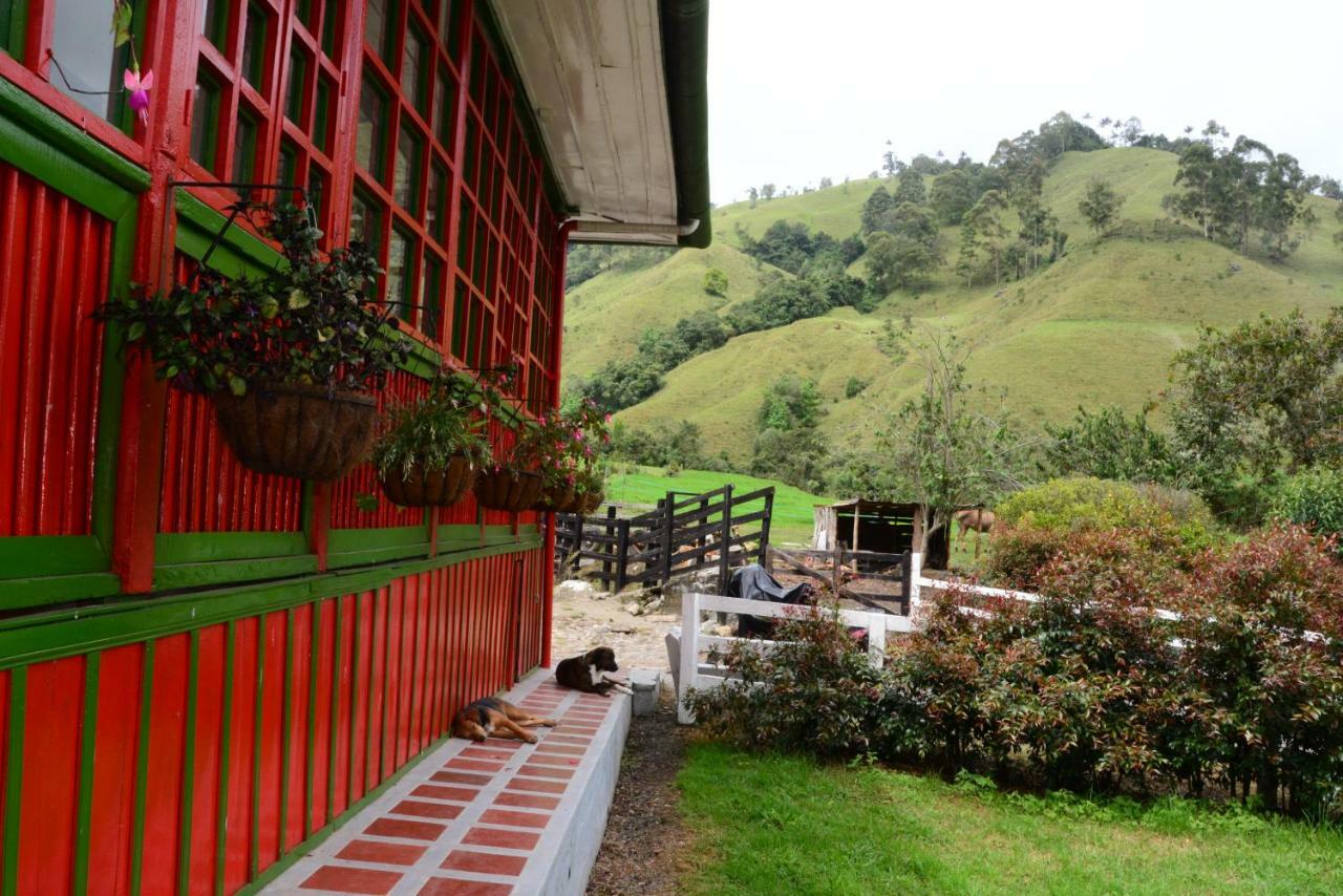 Ecohotel Pinohermoso Reserva Natural Salento Exterior foto