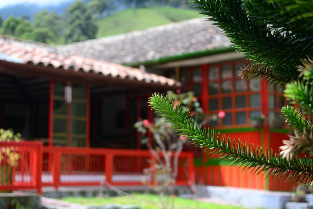 Ecohotel Pinohermoso Reserva Natural Salento Exterior foto
