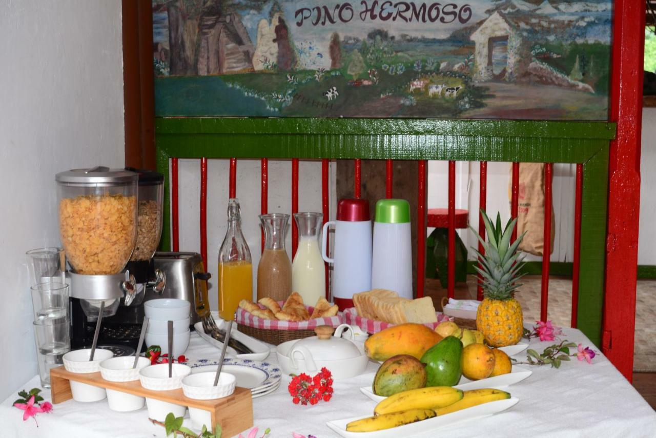 Ecohotel Pinohermoso Reserva Natural Salento Exterior foto