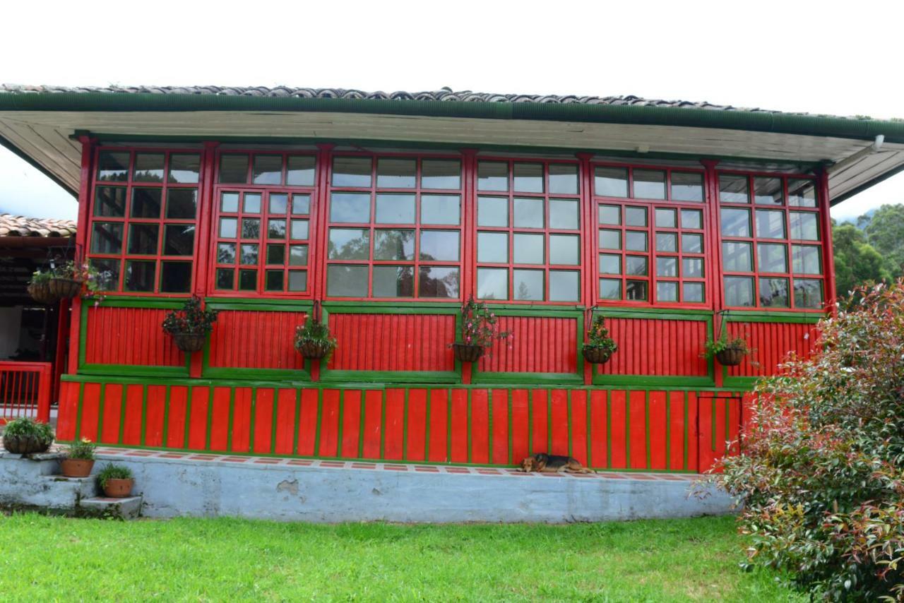 Ecohotel Pinohermoso Reserva Natural Salento Exterior foto