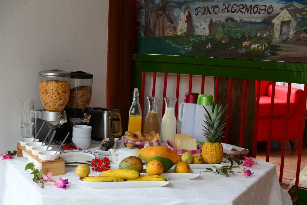 Ecohotel Pinohermoso Reserva Natural Salento Exterior foto